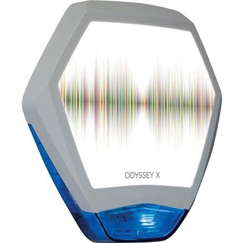 Related Product